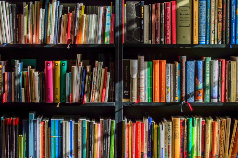 ecommerce-TANNERON-min_books_bookstore_book_reading_shop_writer_sale_books_read-822866